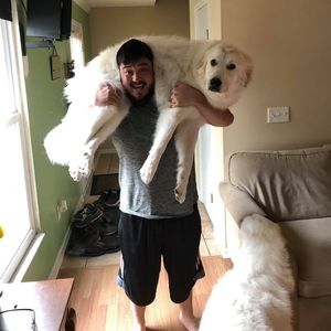 Meet your Posher, Jonathan